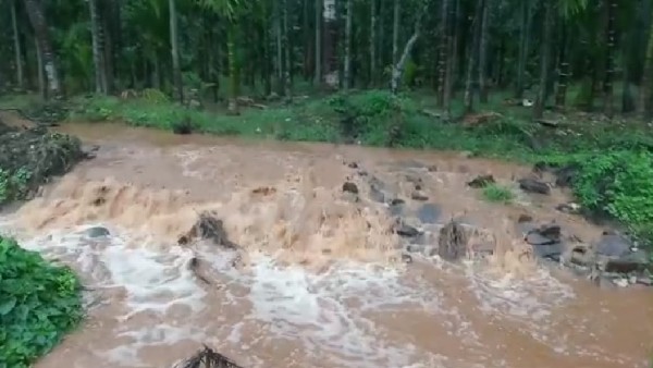ಮಳೆ ನೀರಿನಲ್ಲಿಯೇ ರೈತರ ಪೇಚಾಟ ಮಳೆ ನೀರಿನಲ್ಲಿಯೇ ರೈತರ ಪೇಚಾಟ