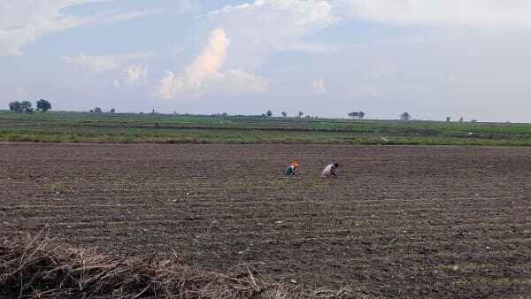 ರೈತ ಸಂಪರ್ಕ ಕೇಂದ್ರದ ಅಧಿಕಾರಿ ಹೇಳಿದ್ದೇನು? 