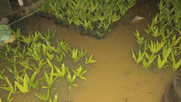  ಕಂಗಾಲಾದ ಜಿಲ್ಲೆಯ ಅನ್ನದಾತ 