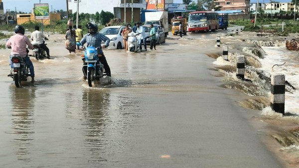ಭತ್ತ,ಕಬ್ಬಿನ ಗದ್ದೆ, ಬಾಳೆತೋಟಗಳಿಗೂ ನೀರು ನುಗ್ಗಿ ಅಪಾರ ಹಾನಿ ಭತ್ತ,ಕಬ್ಬಿನ ಗದ್ದೆ, ಬಾಳೆತೋಟಗಳಿಗೂ ನೀರು ನುಗ್ಗಿ ಅಪಾರ ಹಾನಿ