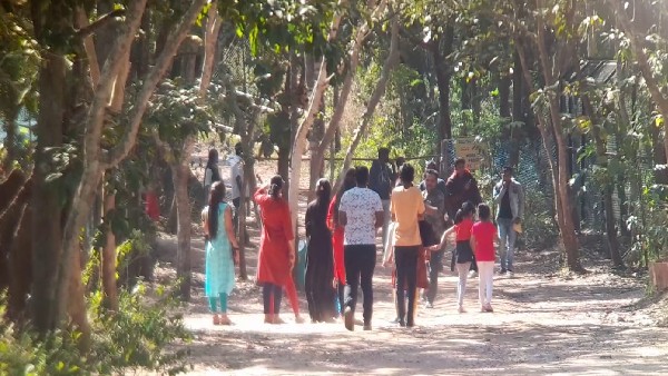 ಚಿಟ್ಟೆ ಪಾರ್ಕ್ ಆರಂಭಕ್ಕೆ ಭರದ ಸಿದ್ಧತೆ 