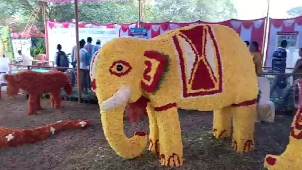  ದಸರಾ ವೈಭವವನ್ನು ಕಣ್ತುಂಬಿಕೊಂಡ ಜನರು 