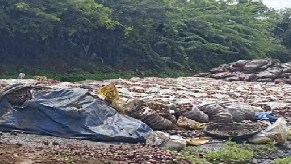 ಸಂಕಷ್ಟದಲ್ಲಿ ಚಿತ್ರದುರ್ಗ ರೈತರು