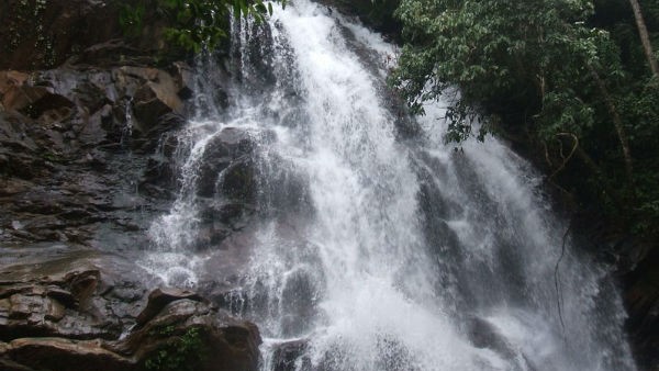 ಸಿರಿಮನೆ ಜಲಪಾತ ಪ್ರವಾಸಿಗರ ಹಾಟ್ಸ್ಪಾರ್ ಸಿರಿಮನೆ ಜಲಪಾತ ಪ್ರವಾಸಿಗರ ಹಾಟ್ಸ್ಪಾರ್