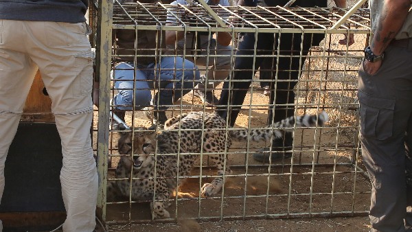 ಸಂತಾನೋತ್ಪತ್ತಿ ವಿಫಲವಾದರೇ ಯೋಜನೆಯೂ ವಿಫಲ!