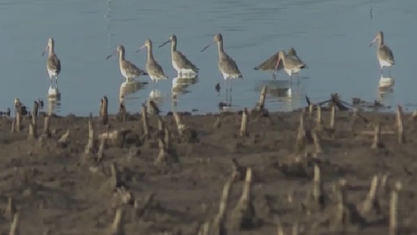 ಚಿಕ್ಕಸಂಗಮ ಬಳಿ ಪಕ್ಷಿಧಾಮ ನಿರ್ಮಾಣ 