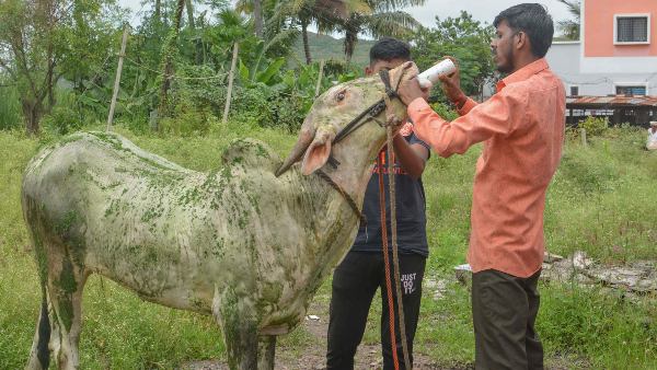 ಅನುದಾನ ಬಳಕೆಗೆ ಅವಕಾಶ