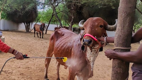ಎಷ್ಟು ಪರಿಹಾರ ನಿಗದಿ ಮಾಡಲಾಗಿದೆ?