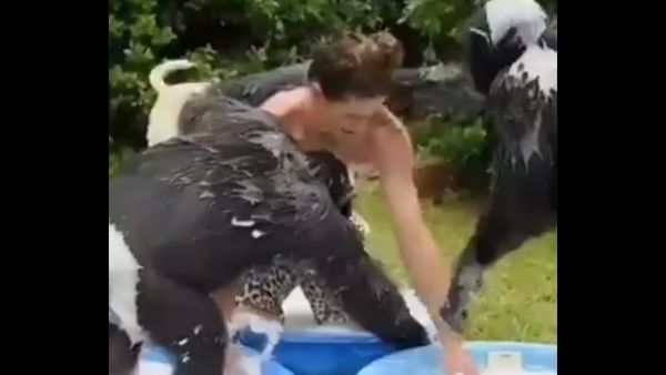 ತಮಾಷೆಯ ವಿಡಿಯೋ ವೈರಲ್ 