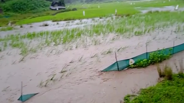 Heavy Rain Lashes Across chikkamagaluru And Bengaluru