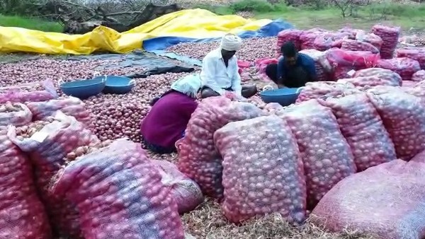 ಸೂಕ್ತ ಪರಿಹಾರ ನೀಡುವಂತೆ ರೈತರ ಒತ್ತಾಯ 