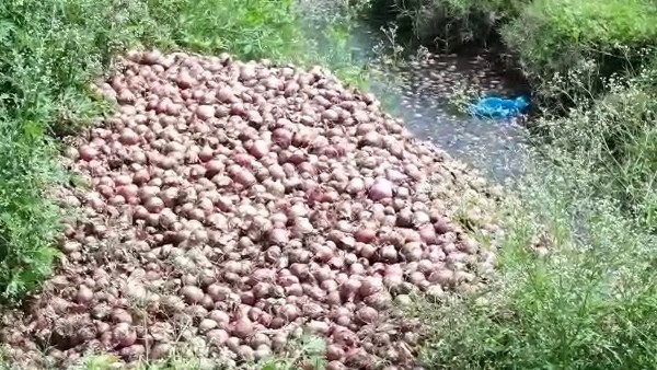 ಸಂಕಷ್ಟದಲ್ಲಿ ಕೋಟೆ ನಾಡು ನಾಡು ರೈತರು 