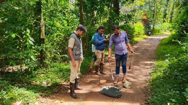 King Cobra Captured In Balehole, Kalasa Taluk