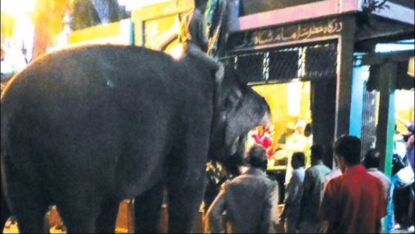 ಆನೆಗೆ ತಾಯತ ನೀಡಿದ ಧರ್ಮಗುರುಗಳು