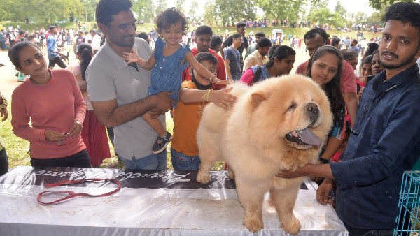 ಆರನೇ ಬಾರಿಗೆ ದೇಶದಲ್ಲೇ ಅತಿಹೆಚ್ಚು ಸ್ವಚ್ಛತೆ