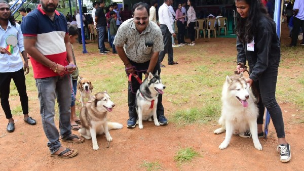 ಗಮನ ಸೆಳೆದ ಮೈಸೂರು