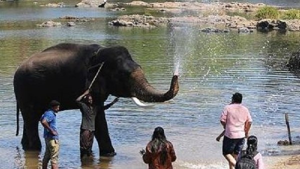  ಪ್ರವಾಸಿಗರ ಸೆಳೆಯುವ ದುಬಾರೆಯ ರಿವರ್ ರಾಫ್ಟಿಂಗ್ 