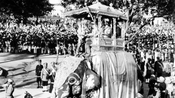 ಅಂಬಾರಿ ಹೊತ್ತ ಗಜಪಡೆಗಳು