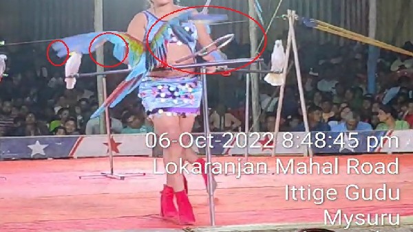 FIR Registered Against Great Bombay Circus in Mysuru Nazarabad Police Station