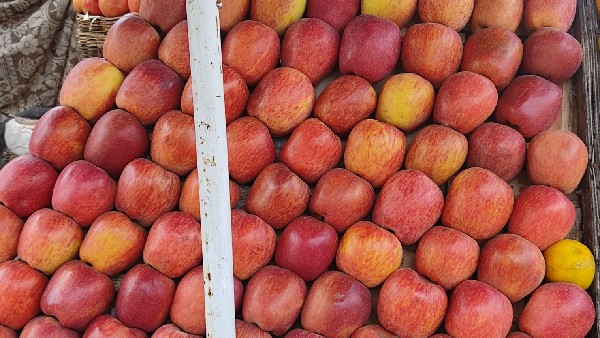 ಈ ಬಾರಿ ಸರಳ ದೀಪಾವಳಿ ಆಚರಣೆಗೆ ಒತ್ತು 