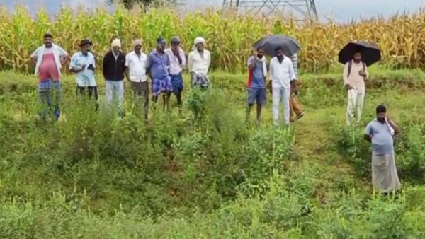 ವಾಹನದೊಳಗೆ ಹೊದಿಕೆಗಳಲ್ಲಿ ಸುತ್ತಿದ ಮೃತದೇಹ