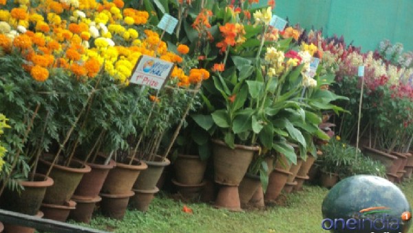 ವಿವಿಧ ಟೆಂಡರ್ ಪಡೆದು ಅಧಿಕ ಲಾಭ ಗಳಿಕೆ ವಿವಿಧ ಟೆಂಡರ್ ಪಡೆದು ಅಧಿಕ ಲಾಭ ಗಳಿಕೆ