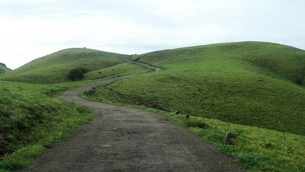 ಅಲೆಅಲೆಯಾಗಿ ತೇಲಿ ಬರುವ ಮಂಜು ಅಲೆಅಲೆಯಾಗಿ ತೇಲಿ ಬರುವ ಮಂಜು