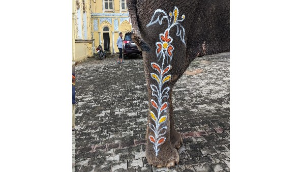 Mysuru Dasara 2022: oct 5h evening is the glory of jamboo savari