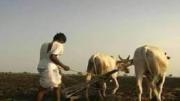 PM Kisan Yojana Rs.1007.26 crore transfer for 50.36 lakh farmers of Karnataka PM Kisan Yojana Rs.1007.26 crore transfer for 50.36 lakh farmers of Karnataka