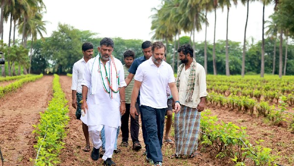 ರೈತರಿಗೆ ಬೆಂಬಲ ಬೆಲೆ ಅಗತ್ಯ ರೈತರಿಗೆ ಬೆಂಬಲ ಬೆಲೆ ಅಗತ್ಯ