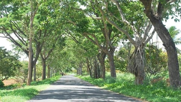 20 ವರ್ಷಗಳಿಂದ ನಿಸ್ವಾರ್ಥ ಪರಿಸರ ಸೇವೆ 20 ವರ್ಷಗಳಿಂದ ನಿಸ್ವಾರ್ಥ ಪರಿಸರ ಸೇವೆ