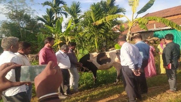 ರೋಗ ಹರಡದಂತೆ ವಾಶಿಂಗ್‌ ಸೋಡ ಸಿಂಪಡಣೆ 