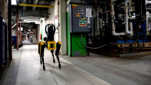 ರೋಬೋಟ್ ಶ್ವಾನಗಳ ಆರೈಕೆ ತುಂಬಾ ಸುಲಭ