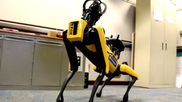 ಸಾಮಾಜಿಕ ಮಾಧ್ಯಮದಲ್ಲಿ ಫೋಟೋ ವೈರಲ್