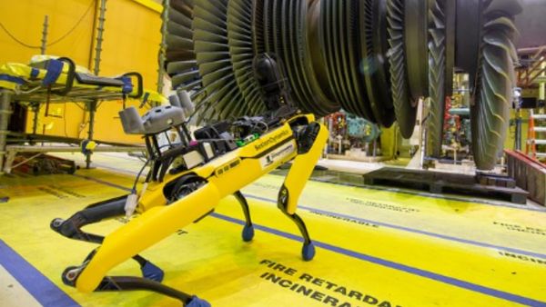 ರೋಬೋಟ್ ಶ್ವಾನಗಳ ಬೆಲೆ ಹೀಗಿದೆ