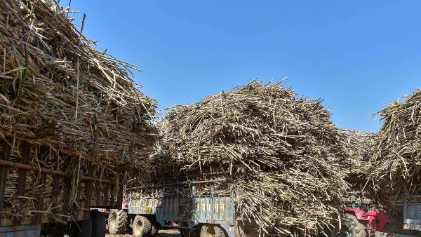 ರೈತರಿಗೆ ಶೇ 10-15ರಷ್ಟು ಹೆಚ್ಚಿನ ಲಾಭ