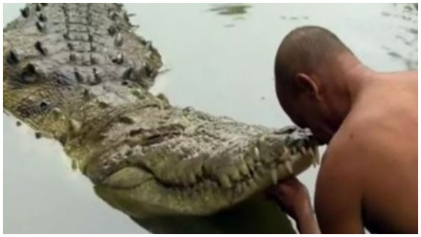 Crocodile dies in Kerala Anantha Padmanabhaswamy temple 