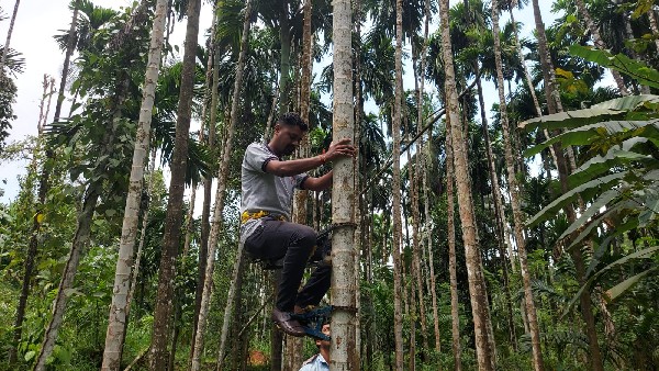  ಸುಲಭ ಮತ್ತು ಸುರಕ್ಷಿತ ಉಪಕರಣ