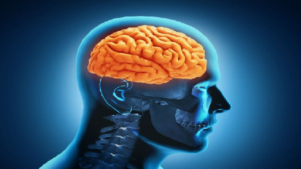 ಅಪಸ್ಮಾರ ಕಾಯಿಲೆ ಎಂದರೇನು? 