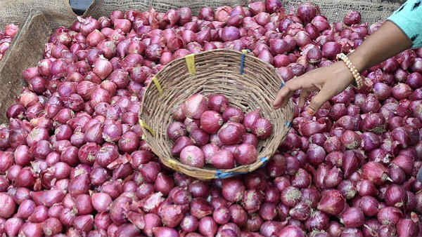 ಮಳೆಯಿಂದ ಈರುಳ್ಳಿ ನಾಶ: ಸಂಕಷ್ಟದಲ್ಲಿ ರೈತರು 