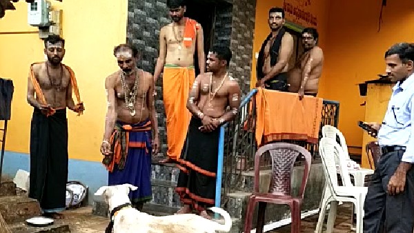 ಈ ಶ್ವಾನದಷ್ಟು ಮನುಷ್ಯನನ್ನು ಪ್ರೀತಿ ಮಾಡುವ ಶ್ವಾನ ಬೇರೆಲ್ಲೂಇಲ್ಲ