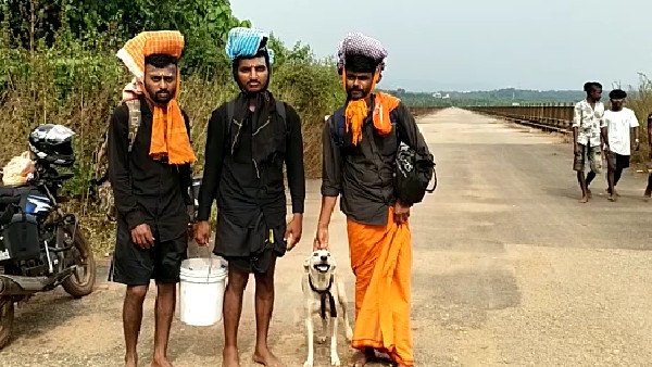 ಸಹಸ್ರಾರು ಕಿಮೀ ಚಾರಣಕ್ಕೆ ಸಿದ್ಧವಾದ ಮಾಳಗಿ