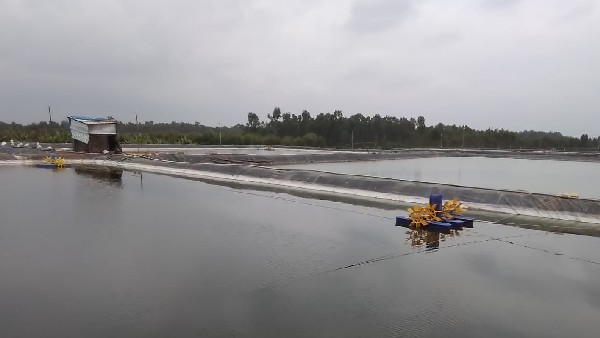 Woman Used Biofloc Fish Farming Technique At Hoskote