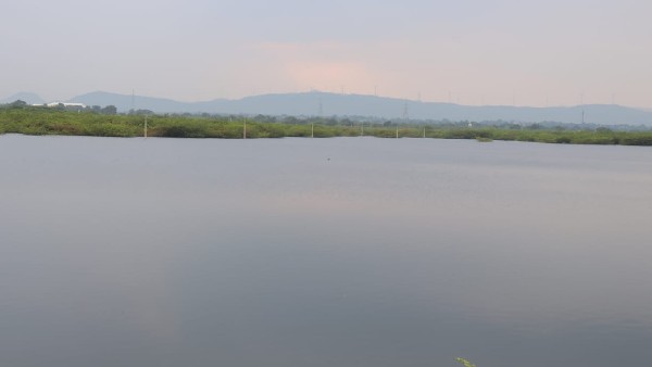 ಕೋಡಿ ಬಿದ್ದ ಹಲವು ಕೆರೆ, ಜಲಾಶಯ 