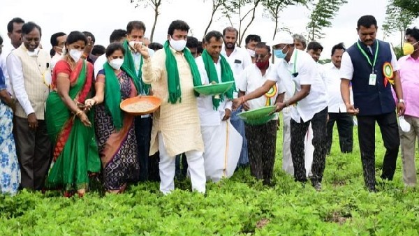 ಬೆಳೆವಿಮೆಯ ಮೊತ್ತವೆಷ್ಟು?, ಪರಿಶೀಲನೆ ಹೇಗೆ? 