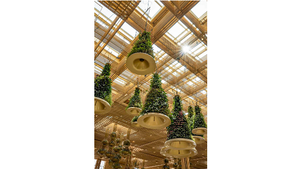 What U Know About Bengaluru Airport Garden terminal, Check Here 