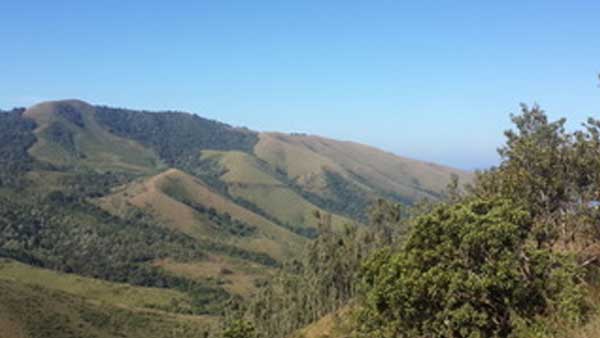 Datta Jayanti: Temporary restriction for tourists to hill parts 