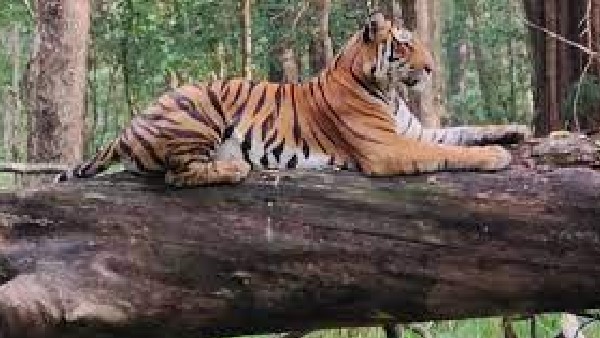 ವನ್ಯಜೀವಿ ಧಾಮಕ್ಕಿರುವ ಮತ್ತೊಂದು ಹೆಸರೇನು? 