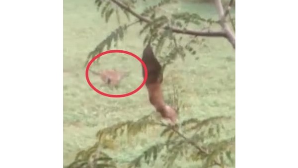 Youth Dies While Trying To Escape From Police At Chamarajanagar