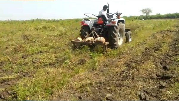 ಮೂರು ಎಕರೆ ಮೆಣಸಿನ ಬೆಳೆ ನಾಶ